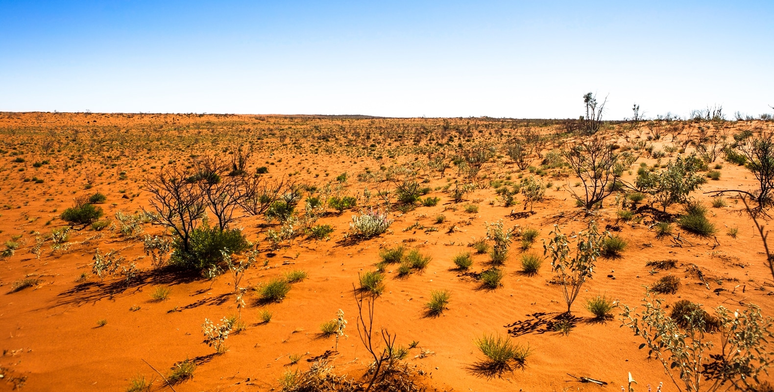 Top 15 Off-Road Tracks in Australia 18 Canning Stock Route WA
